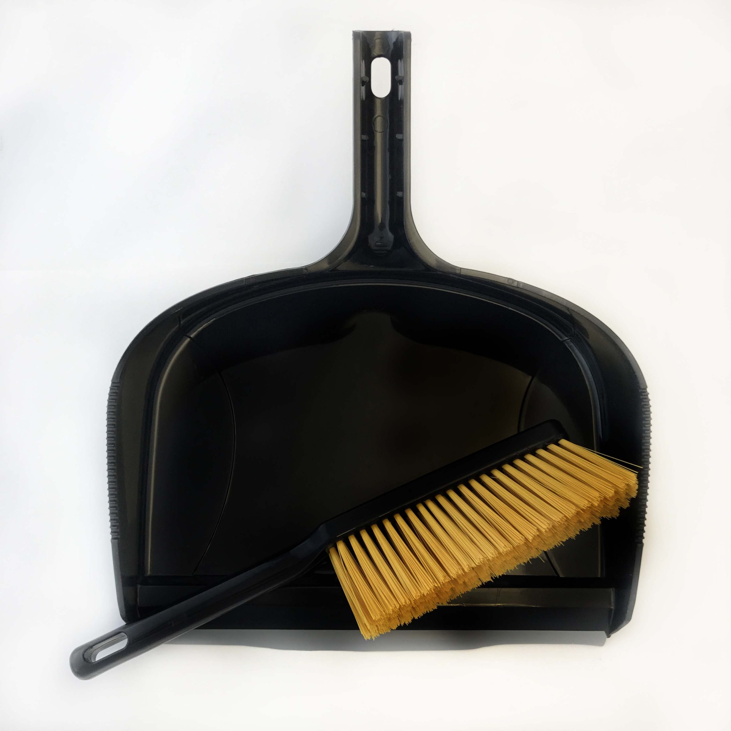 Large Dust Pan and Stiff Brush